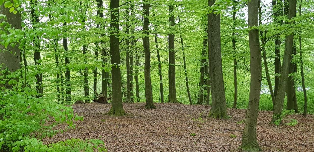 Ferienhaus Heide 바트팔링보슈텔 외부 사진